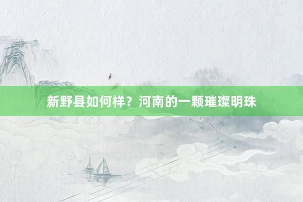 新野县如何样？河南的一颗璀璨明珠